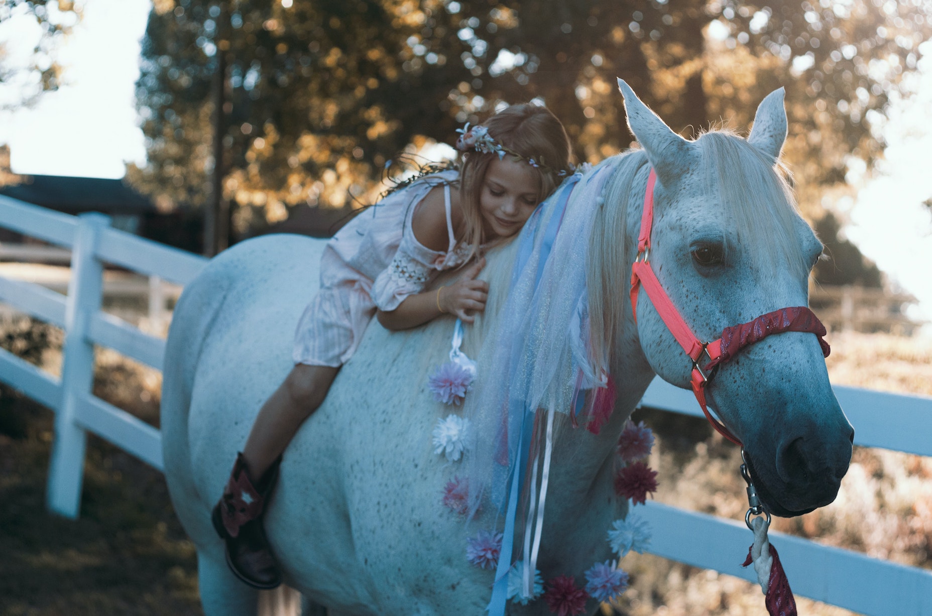 Lovas ajándékok, kislány és ló